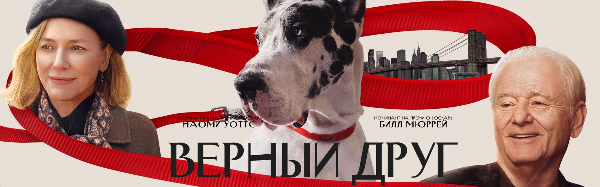 Слайд 7