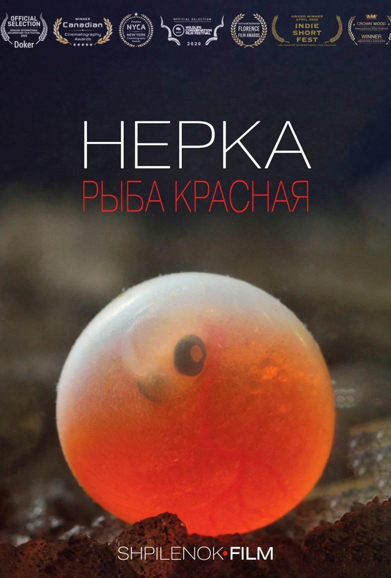 Нерка. Рыба красная (6+)