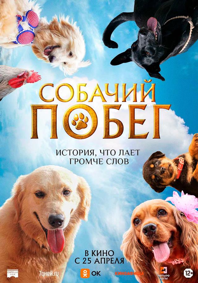 Собачий побег  (12+)